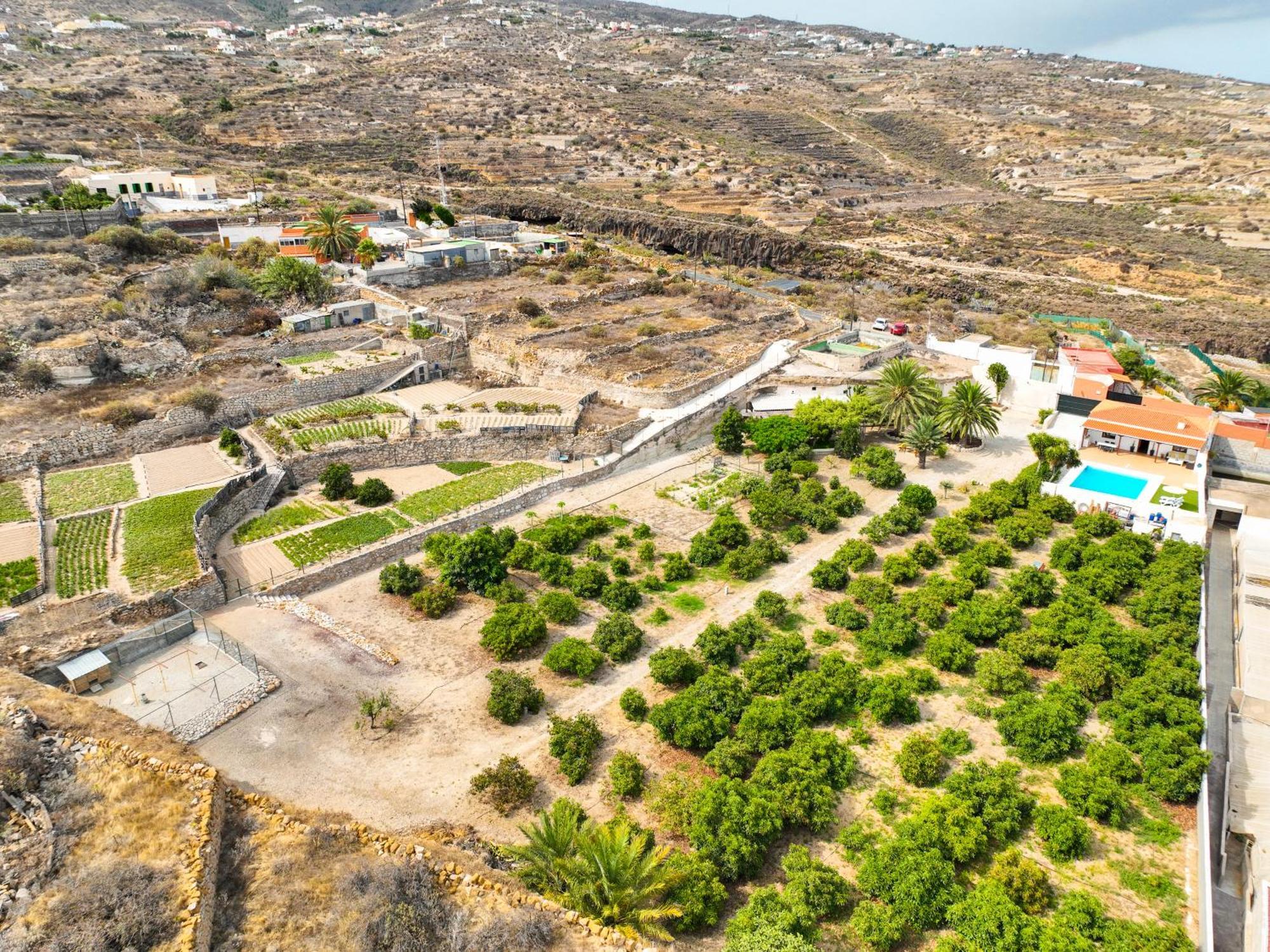 Private House With Pool & Garden Villa Güimar Exteriör bild